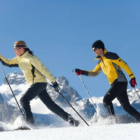 Daire Kitzbuheler Alpen Xl Mittersill